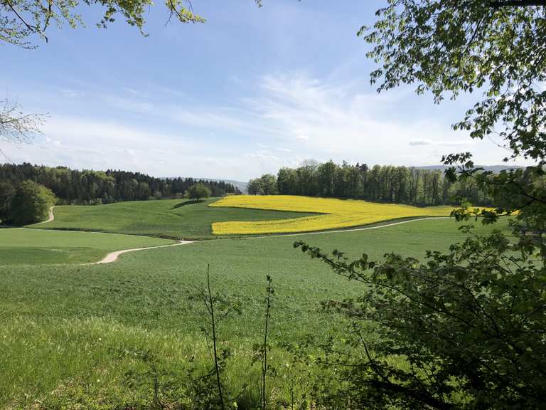 Wiesentäli oberhalb Weiningen : Radtouren und Radwege | komoot