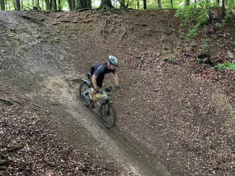 friston forest cycling