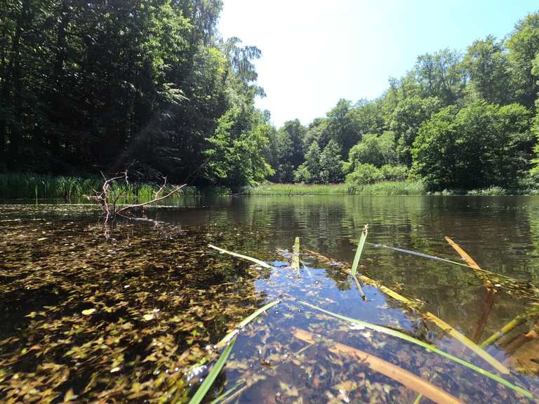 Klosterteiche in Hütter Wohld wandelroutes en hikes Komoot