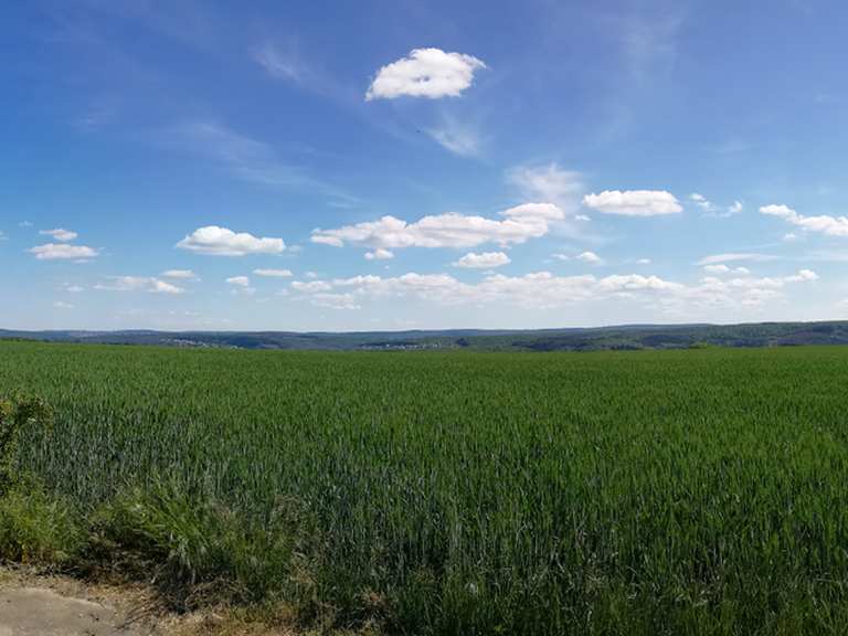 Bank mit Blick auf Lippstadt - Bahnhaltestelle Drewer Loop ...