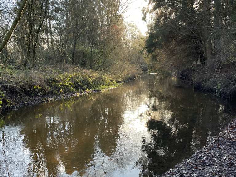 Rade an der Alster Am Alsterlauf Runde von Kayhude Wanderung Komoot