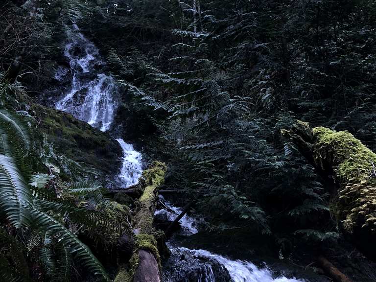 Chute d'eau de Copley – Randonnées & Comment s'y rendre | Komoot