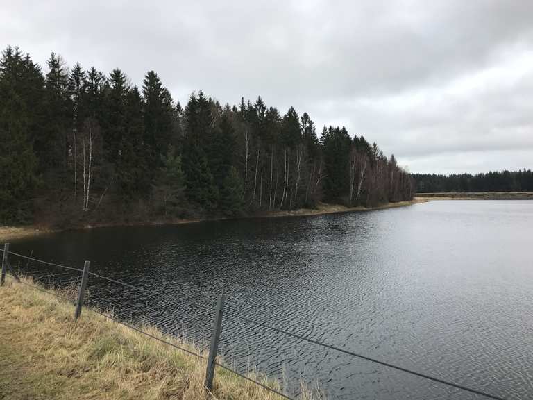Haus Herzberger Teiche Wanderungen und Rundwege komoot