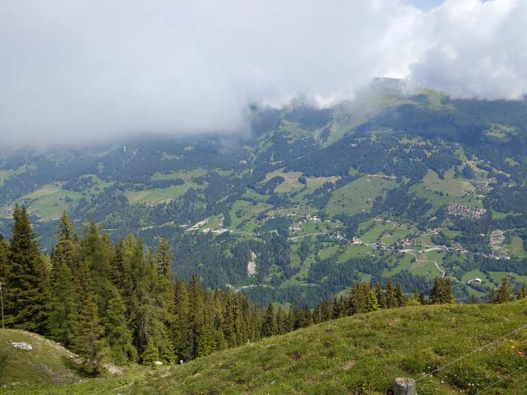 Arosa Bärenland - Eichhörnchen - Weg Runde von Arosa ...