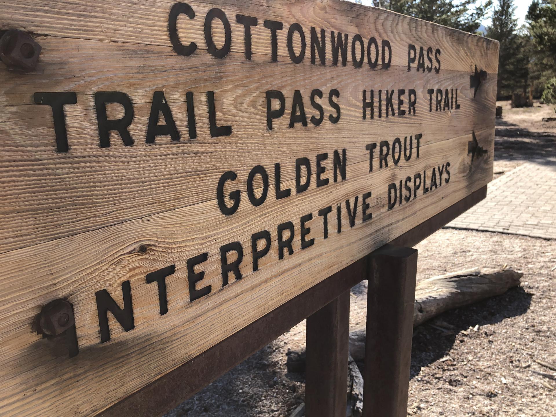 Close-up of a rustic wooden sign with black carved text.