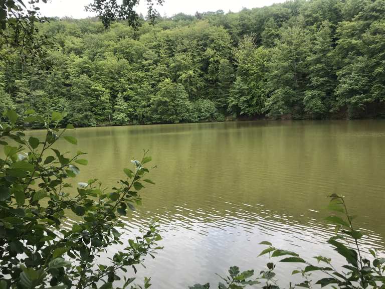 Schönsee Routes for Walking and Hiking | Komoot