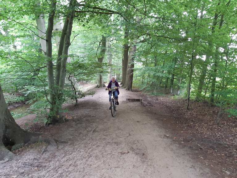 Lutter Wald NordrheinWestfalen, Deutschland Radtouren