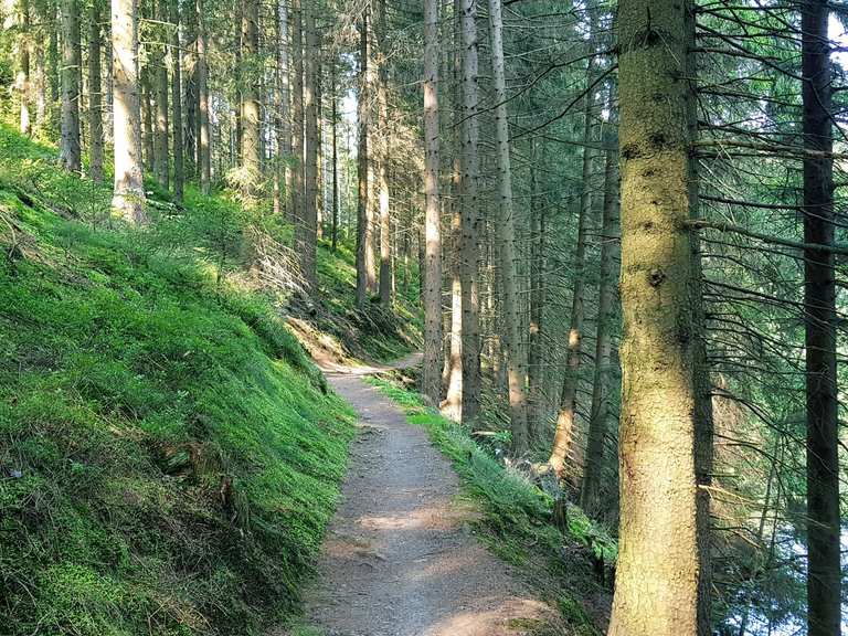 Kellwasser Event Wanderungen und Rundwege komoot