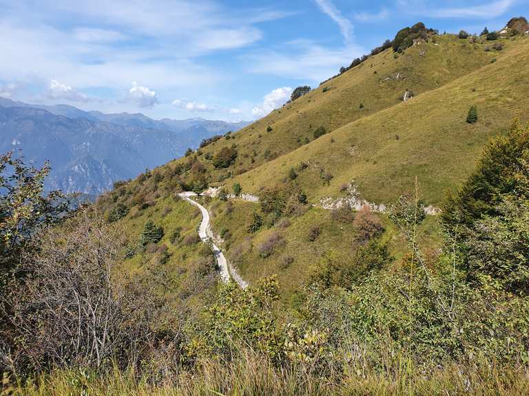 Strada Forestale Passo del CavallinoCocca VeglieCapovalle Radtouren