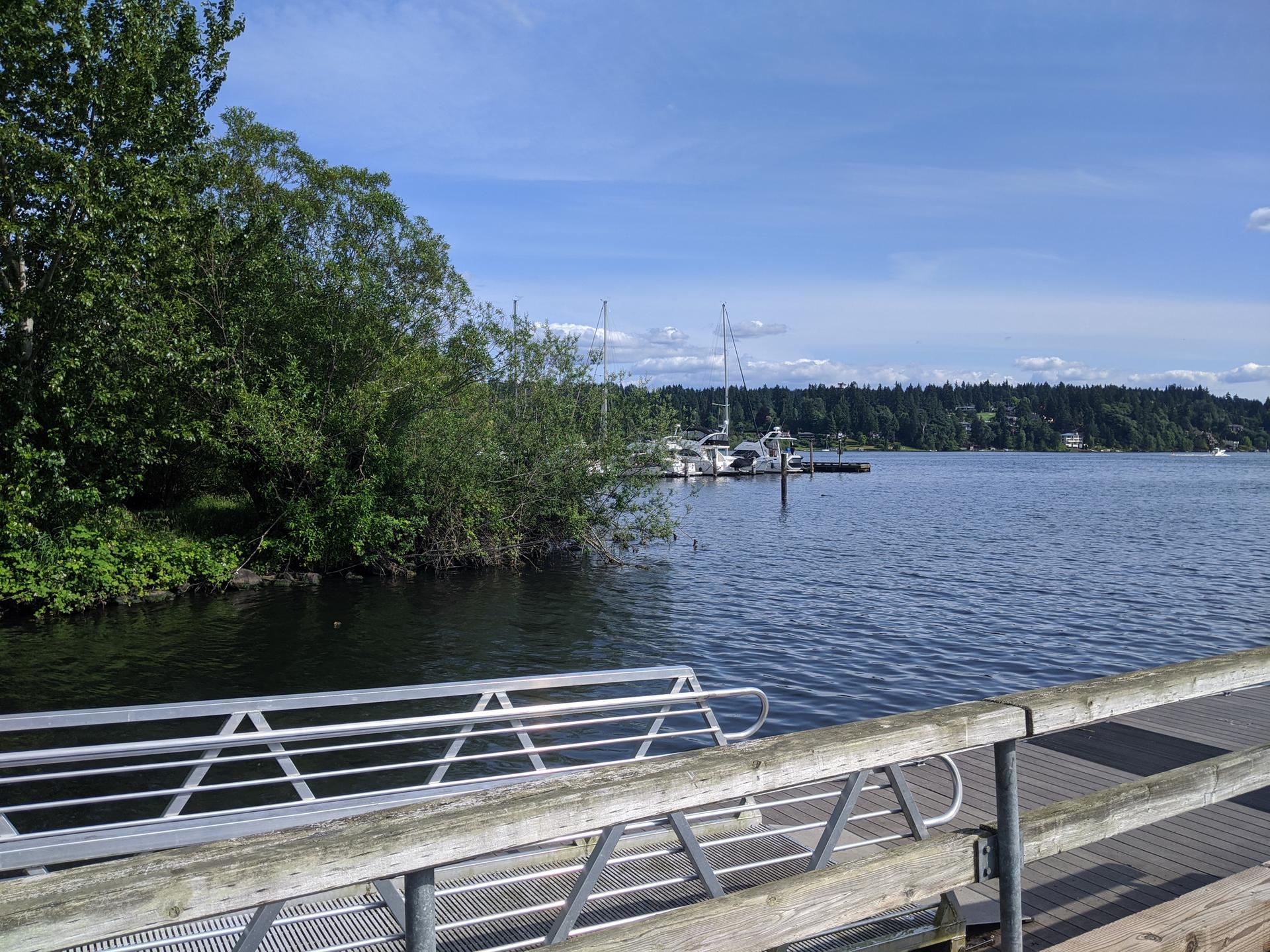 Dock extending into a lake with boats and lush green trees.