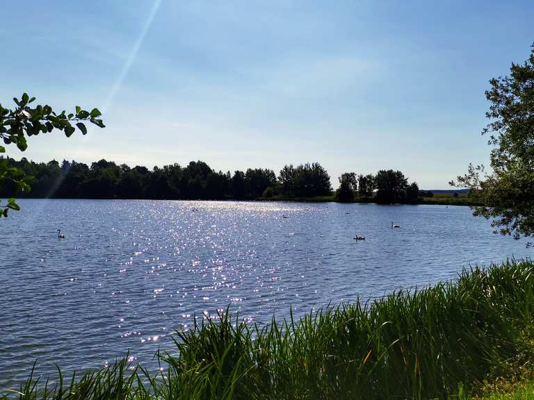 Plothener Teiche Alter Teich (Plothen) Runde von Plothen