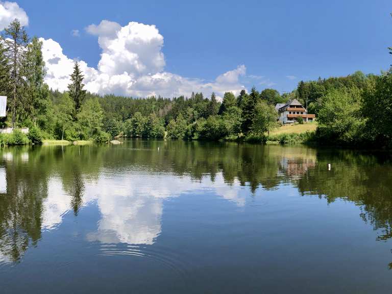 Klosterweiher Wanderungen und Rundwege komoot