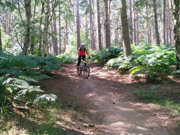 Woburn best sale bike trails