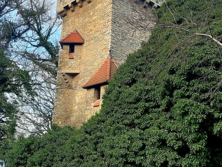 Schloss Neugattersleben Sachsen Anhalt Deutschland Wandertipps Fotos Komoot