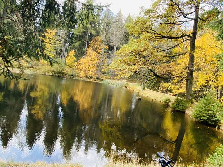 Schwarzer Teich MountainbikeTouren und Trails komoot
