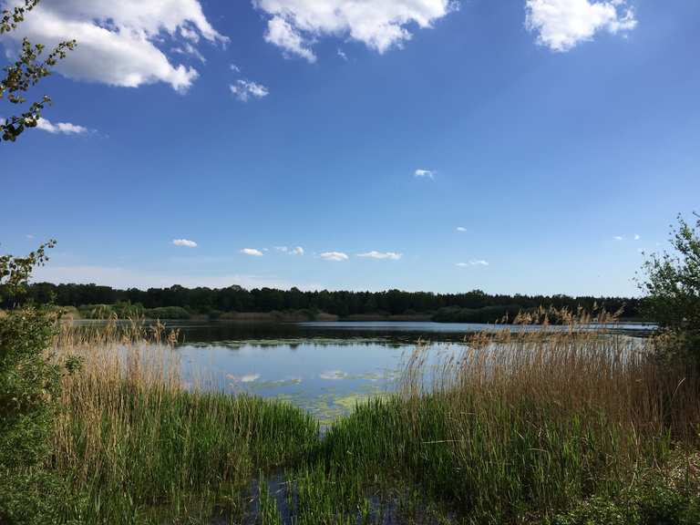 Ahlhorner Fischteiche mit Kirche Radtouren und Radwege komoot