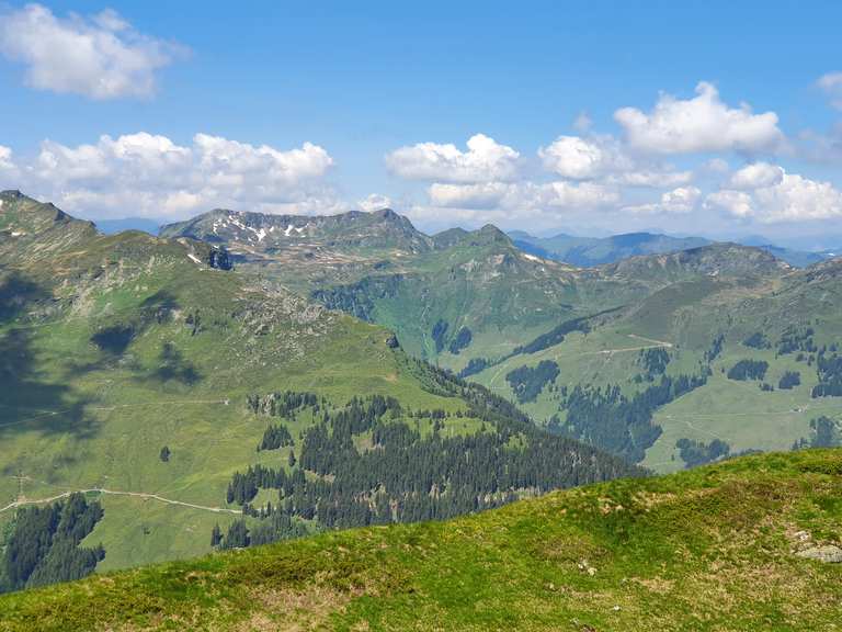 Zwölferkogel Wanderungen und Rundwege komoot