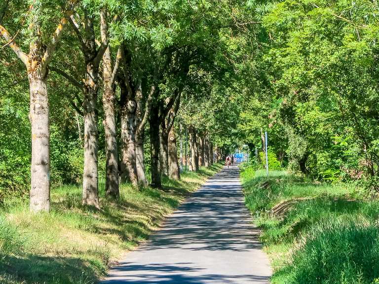 bad-wimpfen-waldsch-nke-neuer-berg-stetten-nordheim-62-km-bike