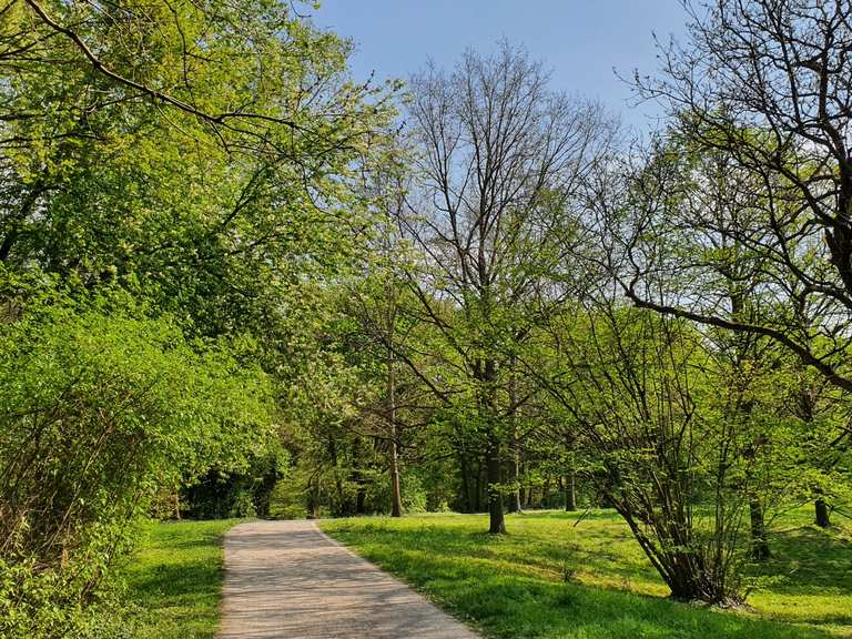 Sur l'Alb entre Dammerstock et Weiherfeld Itinéraires de rando et