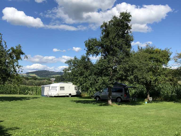 elektroantrieb markise Einziehbare Anthrazit 450 x 300 cm aus Aluminium und Stoff mit manueller oder elektrischer Bedienung für Terrasse und Garten, langlebige Konstruktion Reign 1.5 Ltd 2018 Größe:Mittel 55 cm Stream Metal Gear Solid