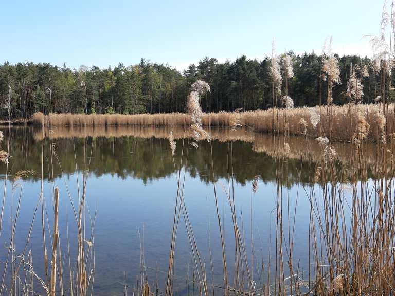 Ullersdorfer Teiche Wanderungen und Rundwege komoot