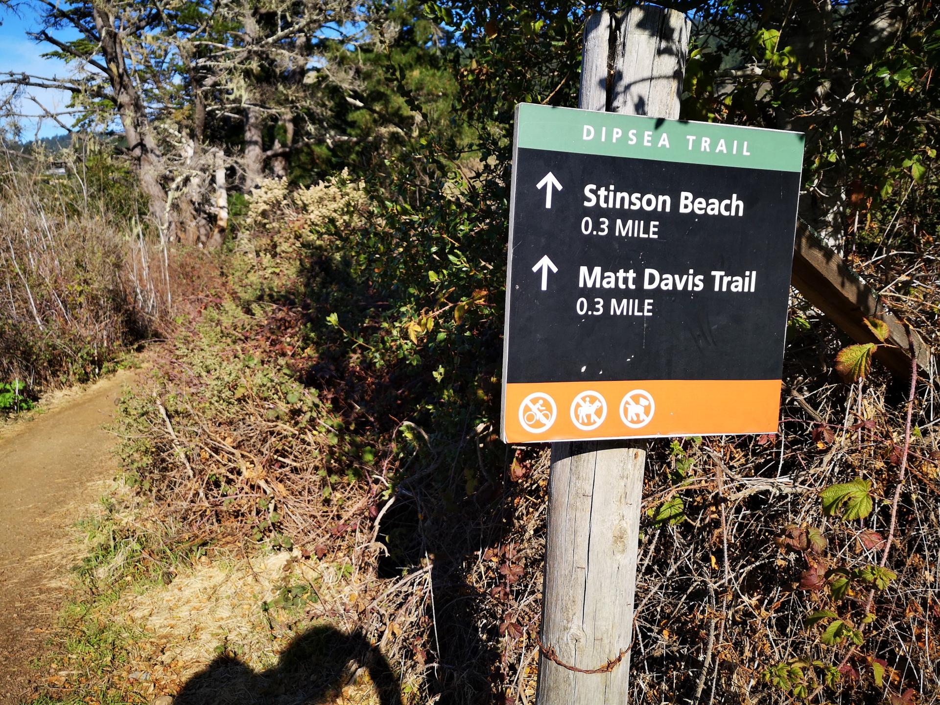 A trail sign on a sunny day points to paths through dense foliage.