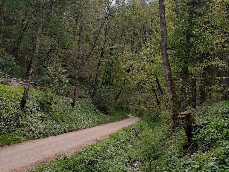 Trailfinger Schlucht Münsingen, Reutlingen Radtouren