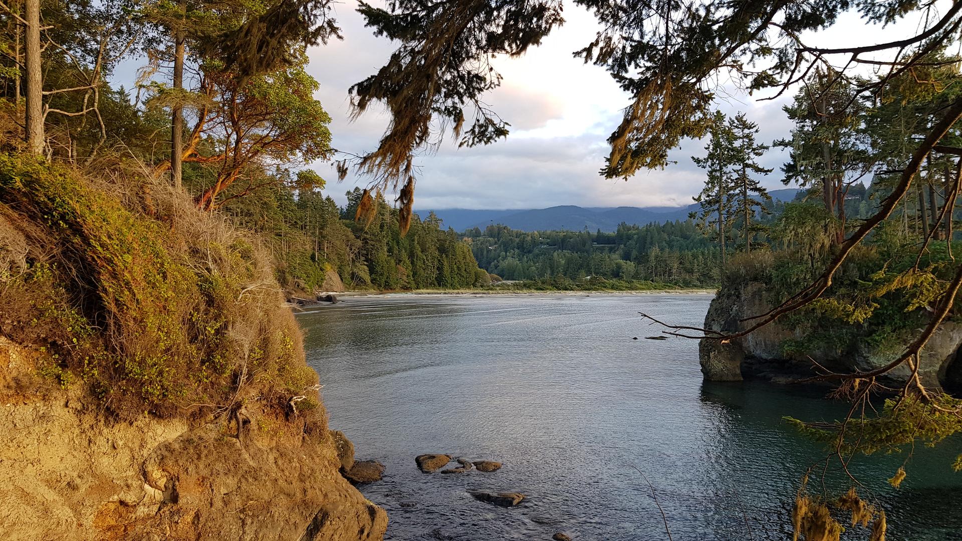 Wide river flowing between lush, forested banks under a cloudy sky.