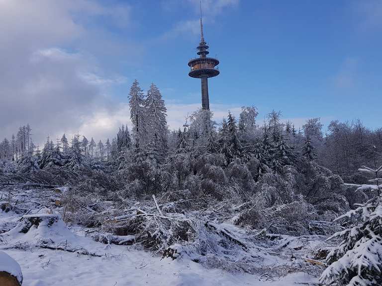 hohe wurzel wanderungen und rundwege komoot