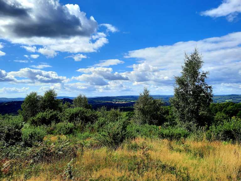 Woolbeding Common loop to Titty Hill — South Downs National Park | hike ...