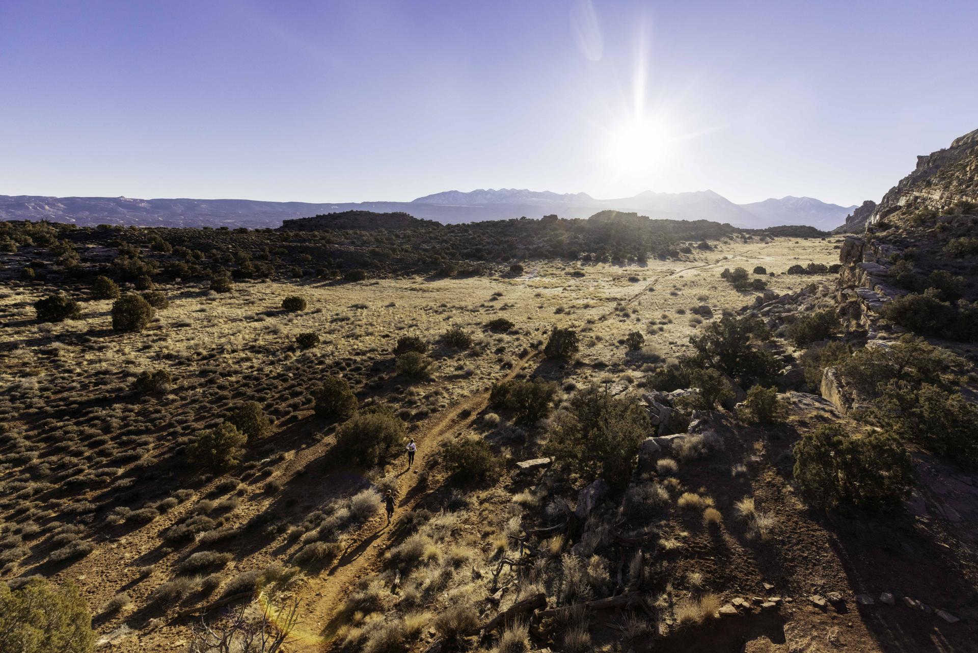 Expansive desert landscape with low brush, mountains, and bright sun overhead.
