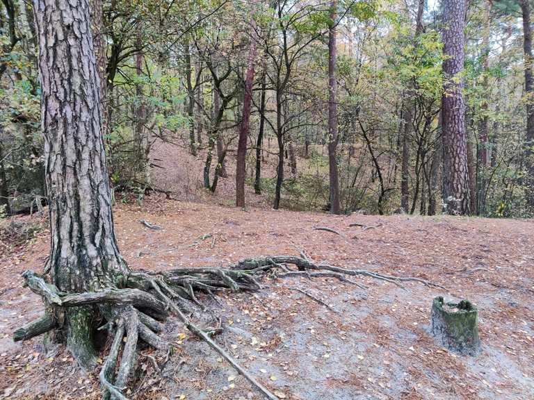 Die Osenberge, Sandkrug: Wanderungen und Rundwege | komoot