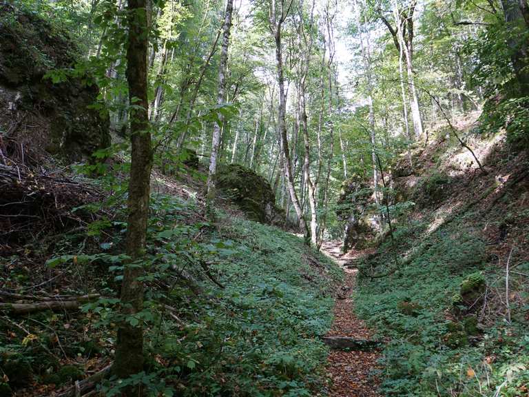 Bärental Wanderungen und Rundwege komoot