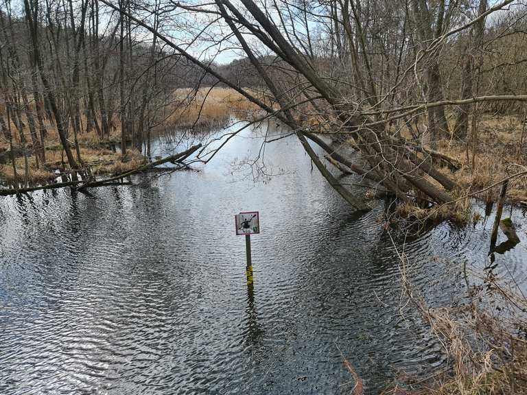 Naturschutzgebiet Oberseemoor Wanderungen und Rundwege komoot