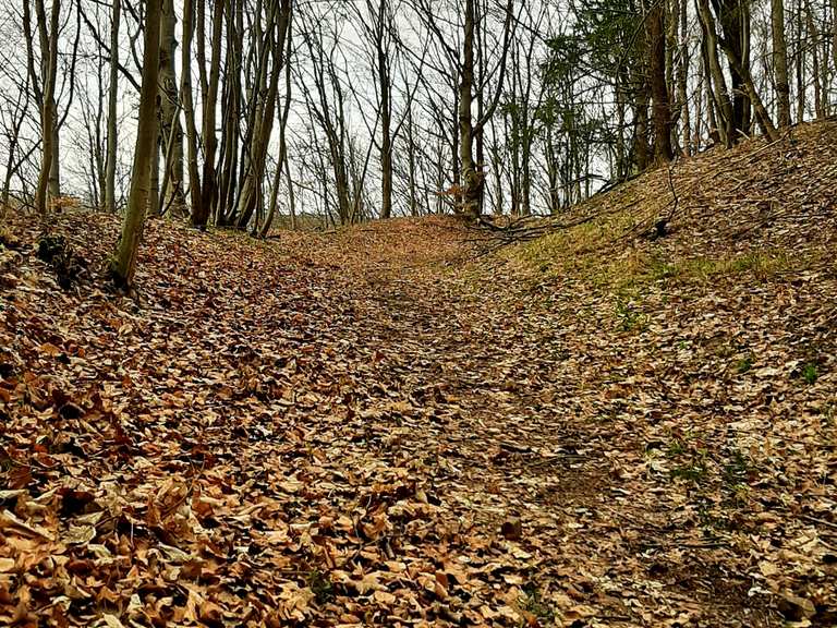 Ringwallanlage Grünbürg Wanderungen und Rundwege komoot