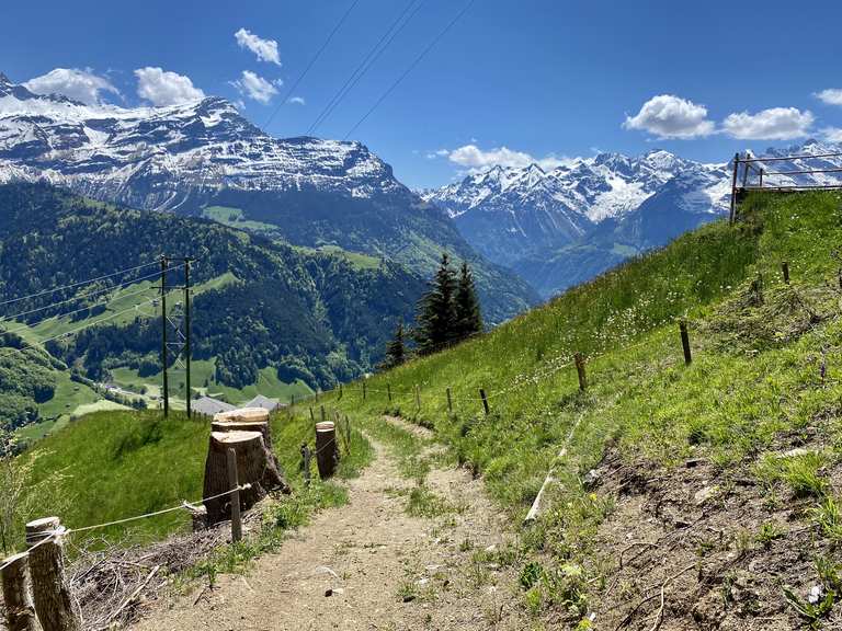 bike height recommendations