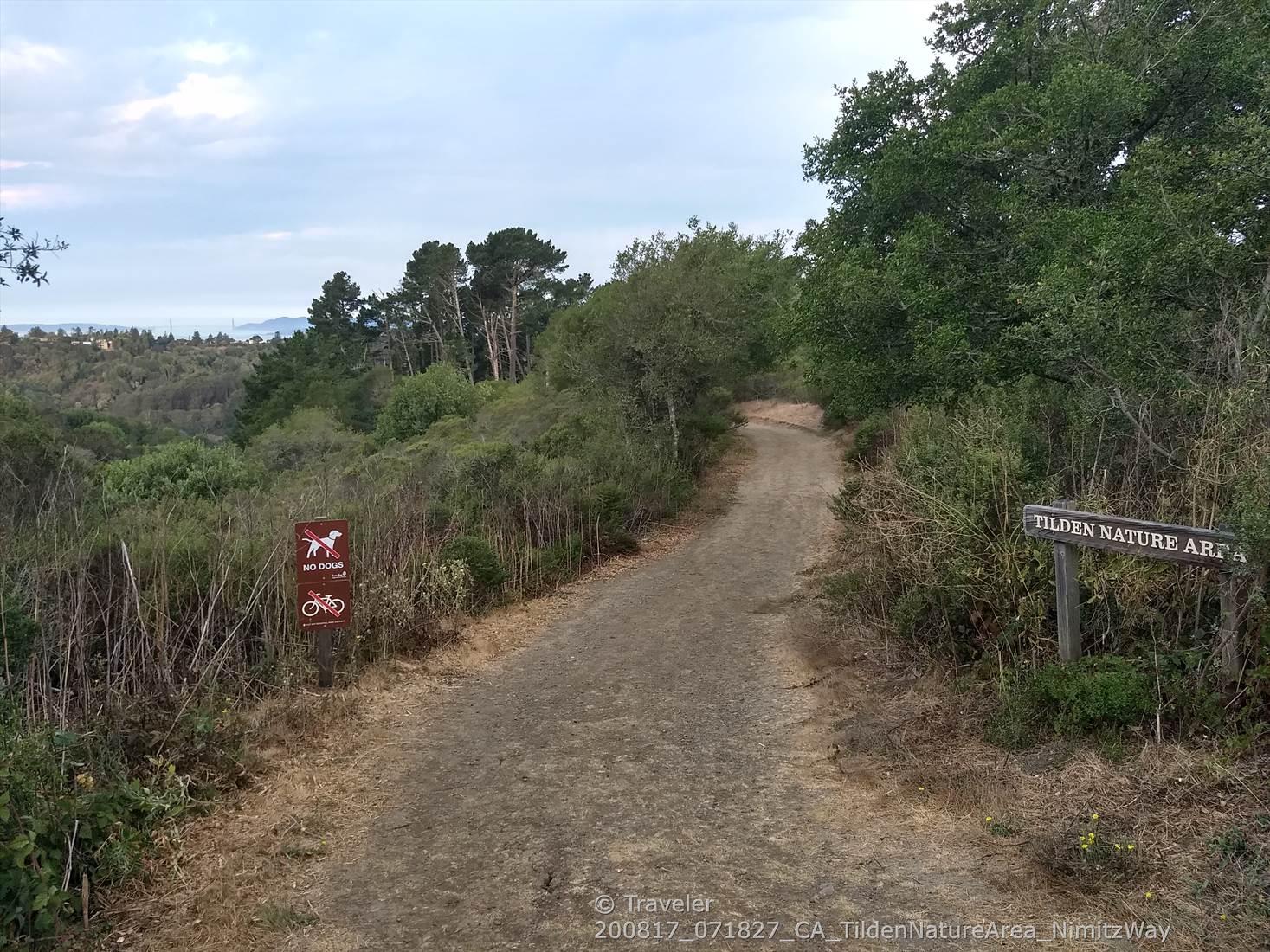 Dirt path leading into a dense forest with trail signs.