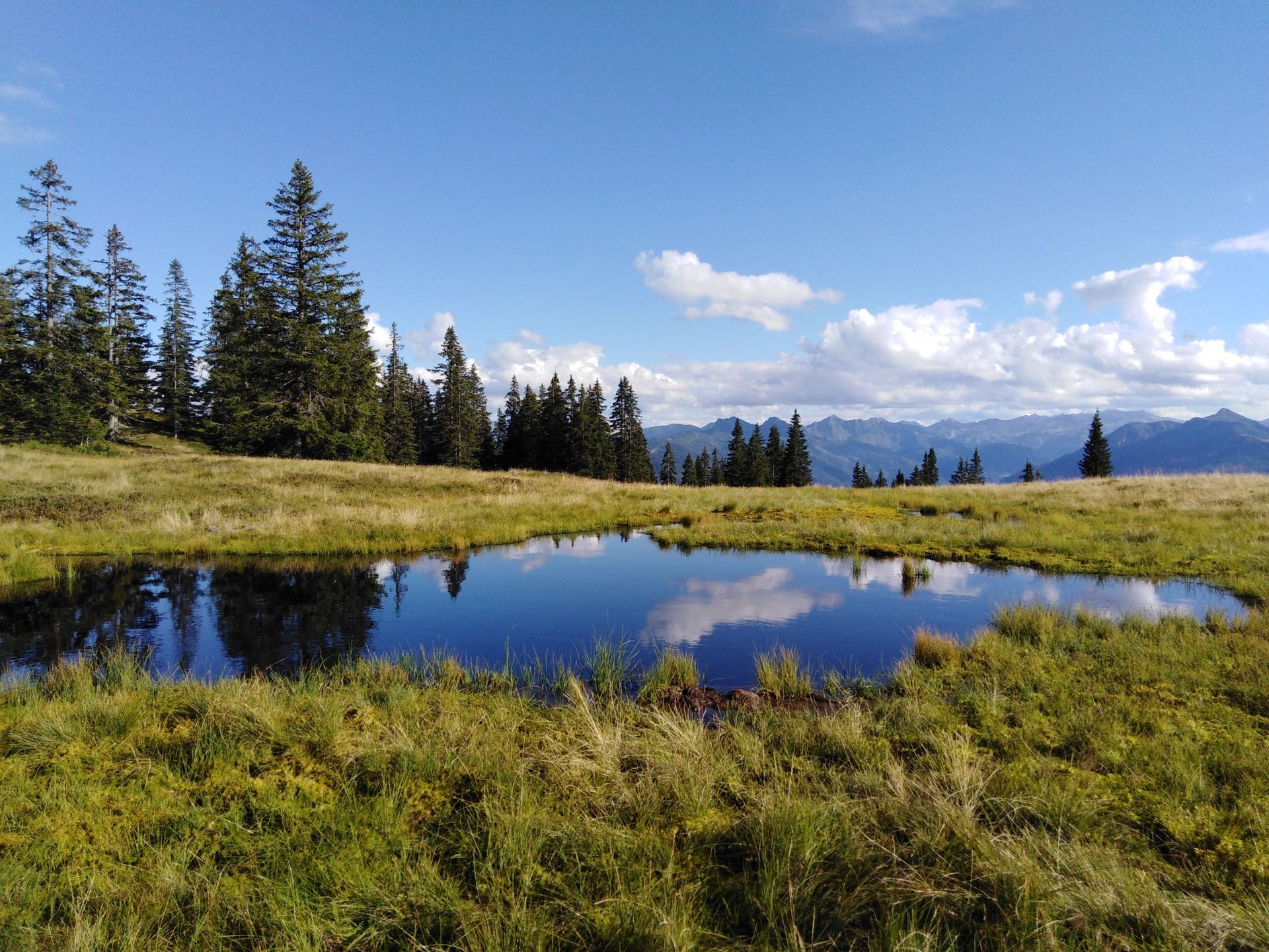 Die Top 10 Wandertouren im Wanderparadies Zauchensee | Wander ...