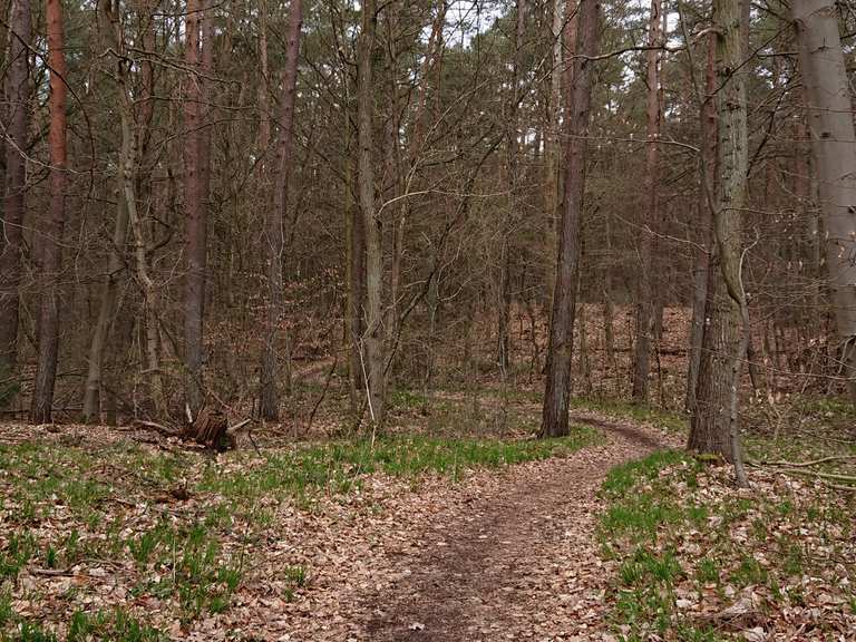 singletrail schleswig holstein