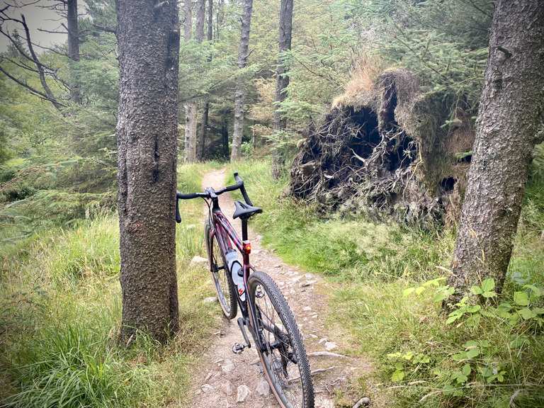 Cruagh Woods gravel loop from Dublin – Wicklow Mountains National Park ...