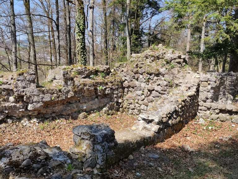 Ruine Rüdberg Routes for Walking and Hiking | Komoot