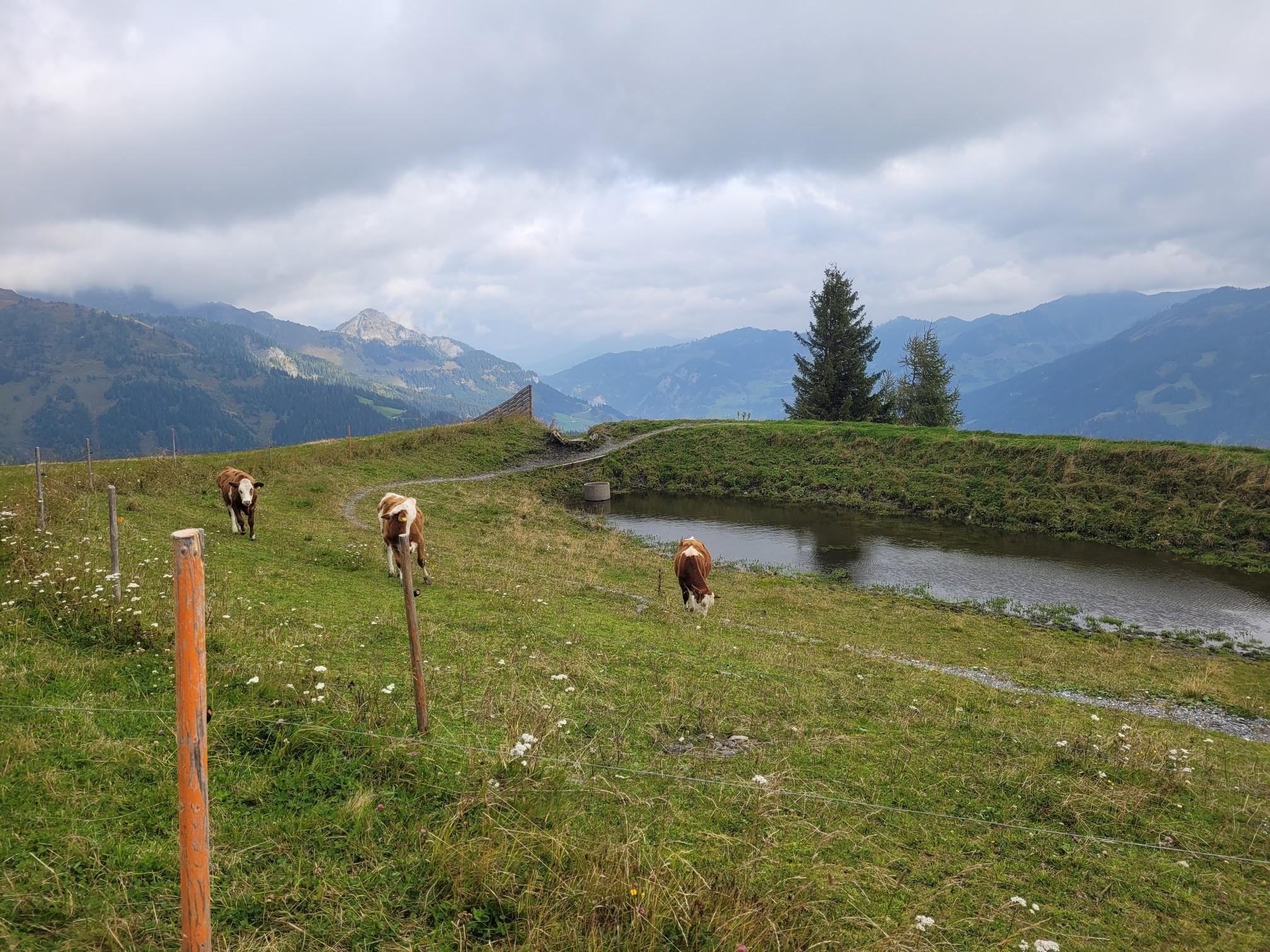 Panoramabahn Großarltal Bergstation Wandelroutes En Hikes | Komoot