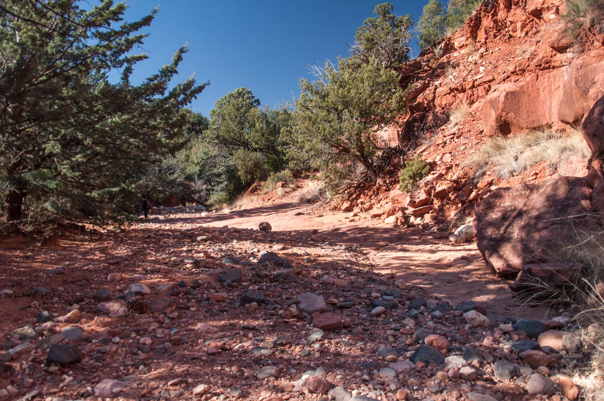 Rocky red dirt path winding through a canyon with green trees and red cliffs.