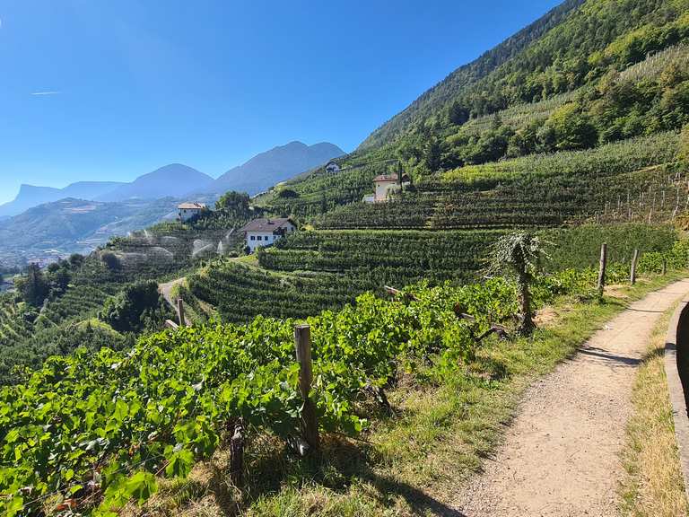 Marlinger Waalweg – Der längste aller Waale in Südtirol | Wanderung ...