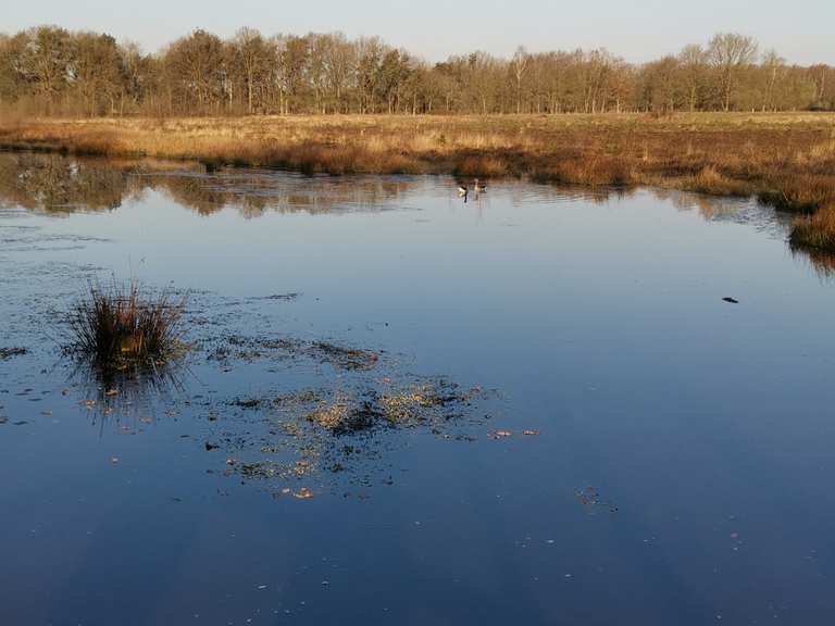Natuurgebied Pannenhoef Wanderungen und Rundwege komoot