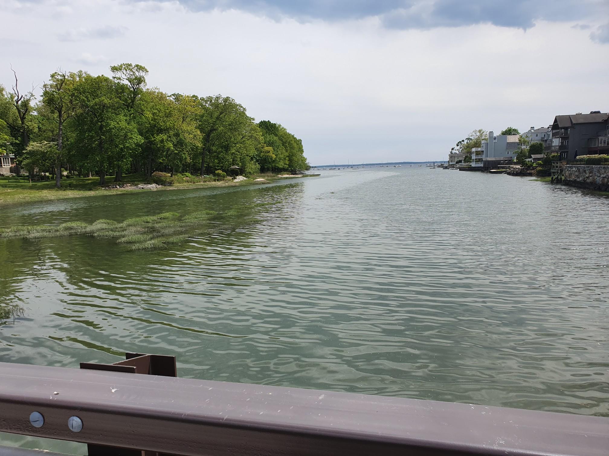 Wide river flowing towards the ocean, with trees and houses on the banks.