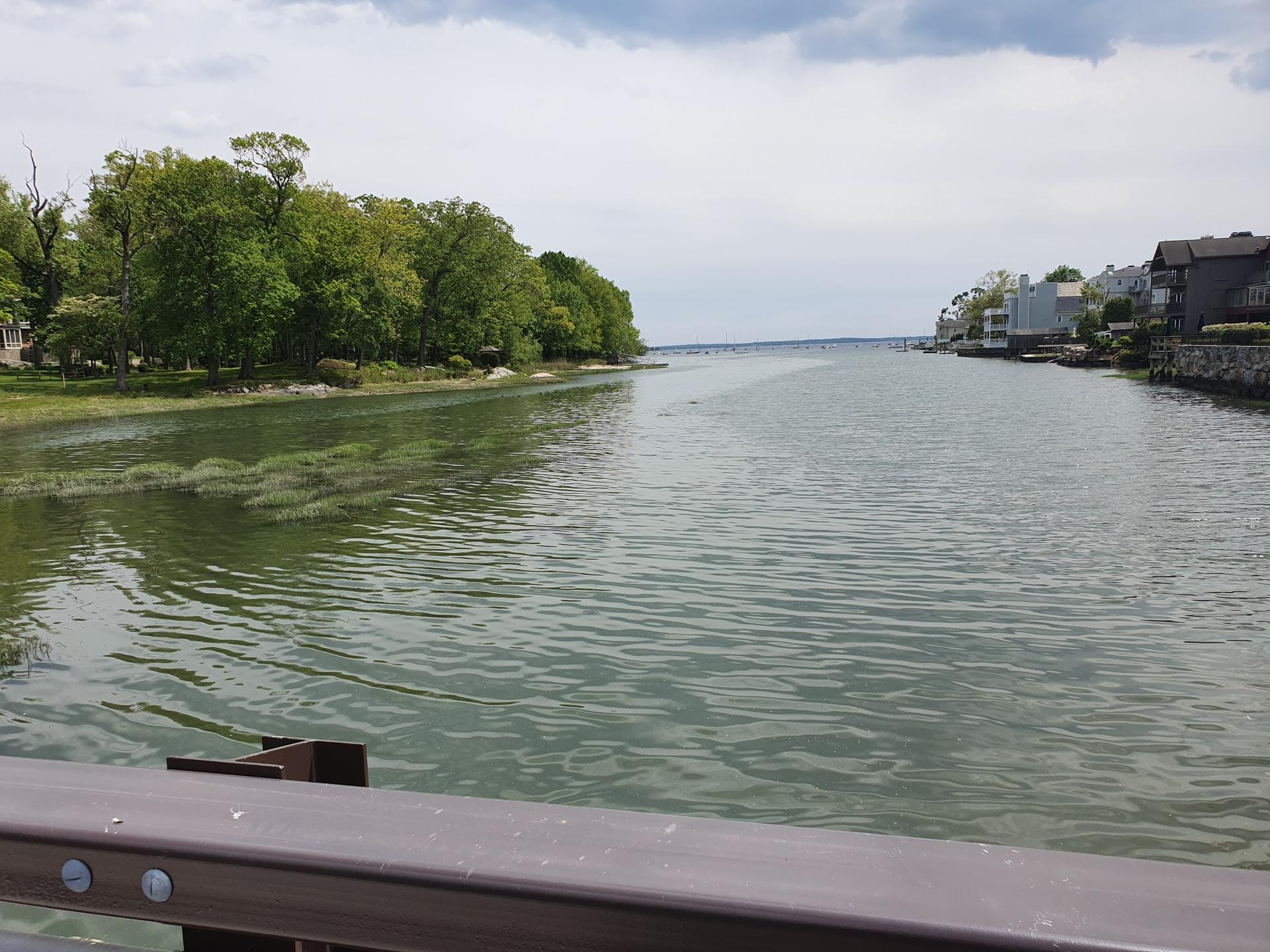Wide river flowing towards the ocean, with trees and houses on the banks.