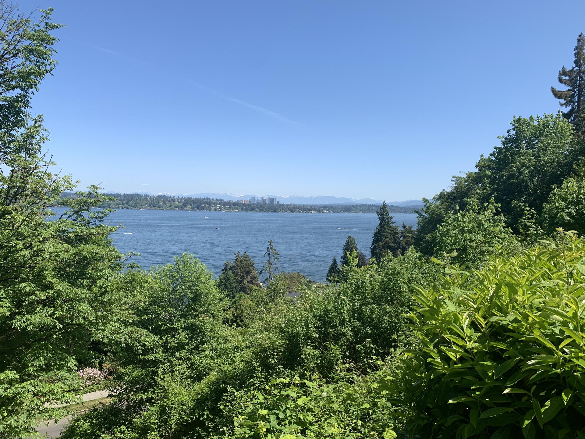 Vast blue lake framed by green trees on a clear, sunny day.