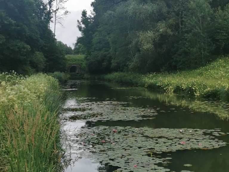 König Ludwig Kanal: Radtouren und Radwege | komoot
