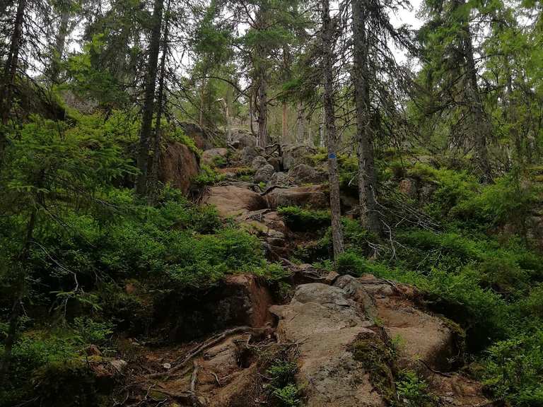 Extrem steiler steiniger Anstieg: Wanderungen und Rundwege | komoot